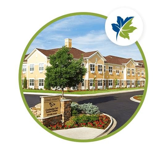 GP exterior of sharmar village with decorative green leaf circle detail